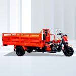 DAYANG Lifan 250CC 300CC Cargo Motorized Tricycle with 5.0 inch Wheels and
