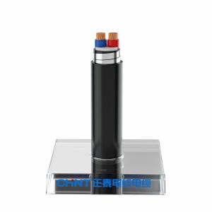 China Bare Copper Conductor PVC Sheath Steel Tape Armoured Power Cable factory
