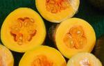 Pure Natural Semen Moschatae Powder-- pumpkin seed extract --Cucurbita moschata