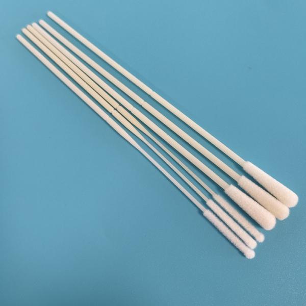 China ABS Stick Flocked Nylon Nasal Swab Specimen Collection Swab With Breaking Point Individually Wrapped factory