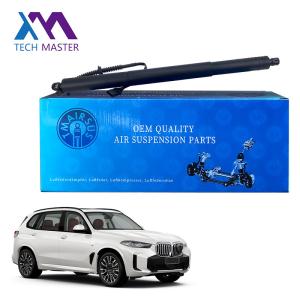 China Black Stable Power Lift Gate Strut For X5 F15 2014-2017 Left Hand Side 51247294469 factory