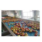 China factory manufacture fresh fruit concentrate juice production line Fruit