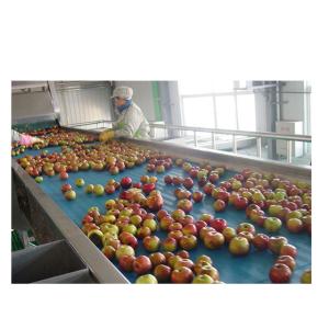 China Fully Automatic Vegetable Complete Juice Processing Unit Stainless Steel factory
