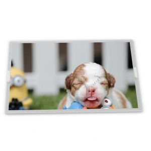 China BV050HDM-N00 5 TFT LCD Display Modules new high quality touch screen panel Rectangular screen supplier lcd panel on sale