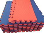 Interlocking Shockproof Martial Arts Mat for Taekwondo Training
