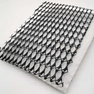 China HDPE 3D Salt Barrier Drainage Geonet Geocomposite net for Landfill Road Garden Drainage factory