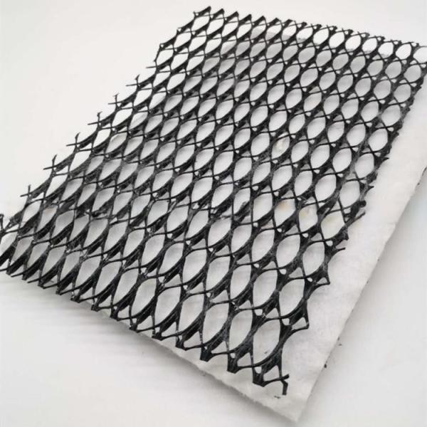 HDPE 3D Salt Barrier Drainage Geonet Geocomposite net for Landfill Road Garden
