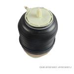 Air Suspension Kits For Audi A6C6 Quattro S6 Rear Air Bellows 4F0616001