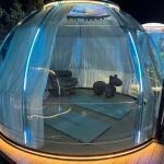 Full House Starry Bubble House With Transparent Pc Sun Room Bubble Dome House