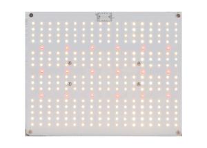 China 380nm 5000K Quantum Board Led Grow Lights factory