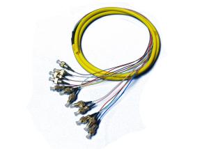 China UPC APC FC SC 12core Fiber Pigtail with Polishing SM MM Cable factory