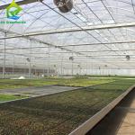 UV Resistant Plastic Film Greenhouse