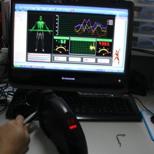 China 3RD Free download original software quantum resonance magnetic analyzer with 41 reports factory