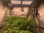 3 Plants Smart Grow Tent Set 1680D Mylar 80x80x180cm Grow Box with240W Samsung