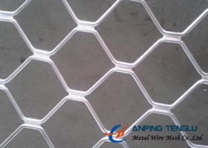 China Beautiful Grid Mesh for Protection, Firm Structure &amp; Corrosion Resistance factory