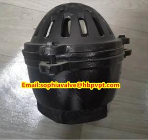 China Pawofuou export BS21 cast iron foot valve from China factory