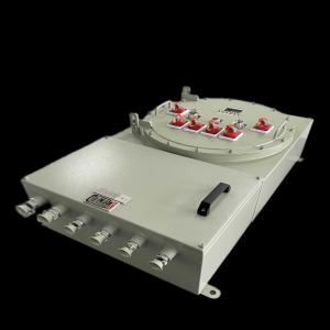 China Customized Explosion Proof Panel Enclosure for Outdoor/Industrial in Hazardous Areas factory
