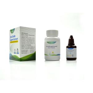 China Zinc Oxide and PMMA Based Root Canal Therapy for Superior Performance factory