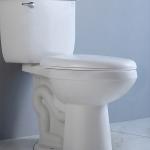 CUPC White Black Two Piece Toilet 1.28 GPF Water Closet Tank