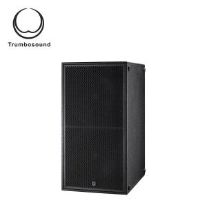 China Dual 18 inch subwoofer box super bass speaker outdoor DJ subwoofer 1200Wrms TR218B factory