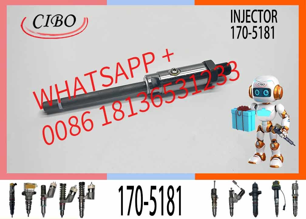 Fuel Injector 7W7045 0r-3591 170-5181 for Excavator Engine 3306b 3306 973 973c