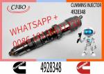 Q19 Diesel Engine Common Rail Injector 4087888 4087889 4928348 4010025 4928345