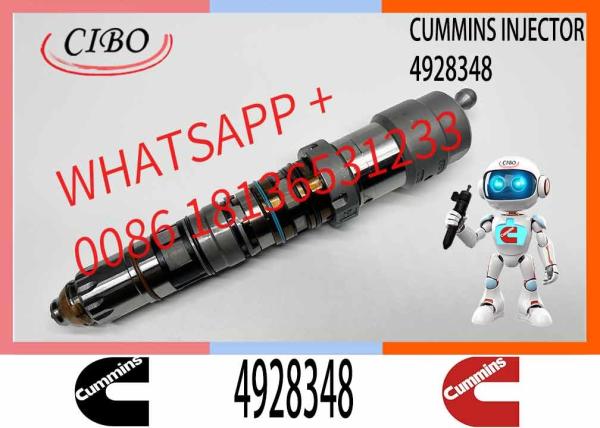 Q19 Diesel Engine Common Rail Injector 4087888 4087889 4928348 4010025 4928345