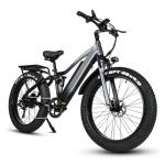 Fat Tire Electric Mountain Bikes For Adults 26 Inch 750W Motor 17Ah Lithium
