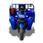 Fuel 1000W RWD Drive Three Wheel Cargo Motorcycle 150cc Cargo Tricycle