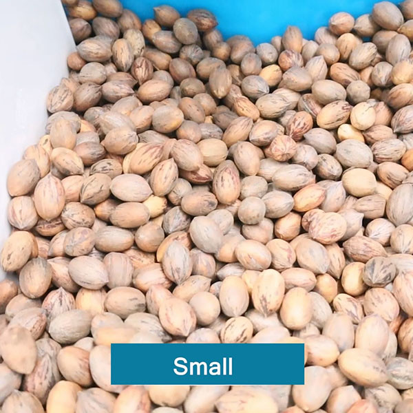 2 Tons Capacity 380V 8 Channels Pecan Sorting Machine With CE Certification