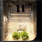 Horticultural SAMSUNG LM301H Diodes Bava Quantum Board 400W LED Grow Light Kits