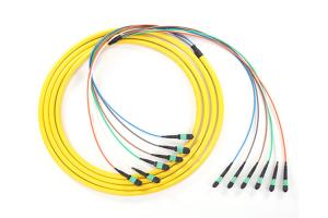 China OEM OM3 40G Fiber Optic Trunk Cable G655 G657 MTP MPO Patch Cord factory