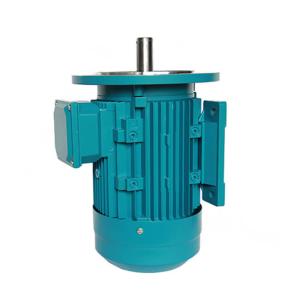 China IE2 Electric Motor Water Pump 3KW B14 220V 380V MS100L2-4 CE Certification factory
