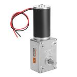 Faradyi Worm Gear Motor 12V 24V Low RPM Customizable Shaft DC Motor With Encoder