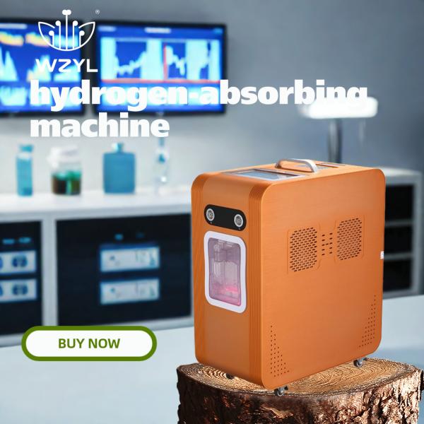 Large Flow Hydrogen Inhalation Machine Anti-wrinkle Regulate The Stomach And