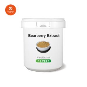 China Bearberry Extract Brown Powder Plant Extracts for Food and Health Care Products 20.0% Arbutin from Bearberry factory