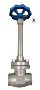 China SW SS304 Cryogenic Globe Valve for LNG/LCO2/LN2 factory