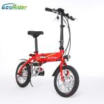 E6-4 2 Wheel Electric Bike 36V 250W Brushless Motor Lithium Battery Aluminum
