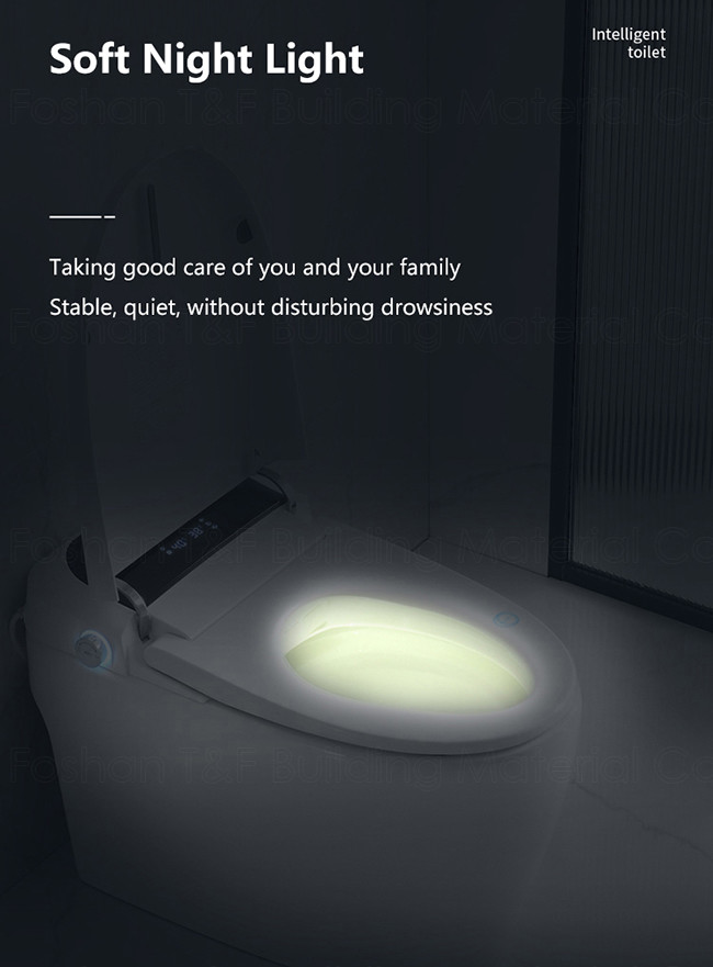 Floor Mounted Bathroom Toilet Bowl 220V / 110V Smart Bidet Toilet Sanitary