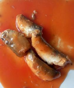 China High Quality Canned Sardine Fish 3-5 Pieces Best Canned Fish factory