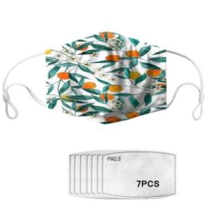 China 2 Layer Personalized Reusable Cloth Face Mask factory