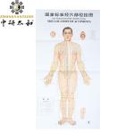 Body Meridian Acupuncture Culture Modern Acupuncture And Embedding Point