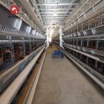 H Type Battery Layer Eggs Chicken Cage Laying Hens Cold Dipped 8Tiers