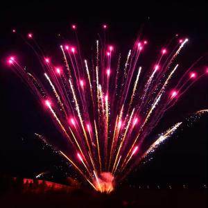 China Liuyang Fireworks Pyrotechnics Professional Display Cake Fireworks 1.3g factory