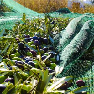 China Agriculture design cheap price olive tree harvest net factory