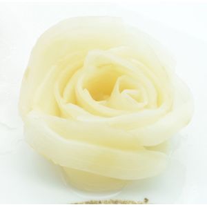 China 1kg Natural White Pickled Sushi Ginger Fresh Pickled Ginger on sale