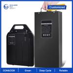 OEM ODM LiFePO4 Lithium Battery Pack Custom E-scooter Battery 36v 48v 60v 72v