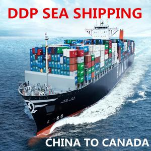 China Door To Door Shipping Freight Forwarder China To Canada factory