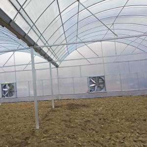 China Vegetable Agricultural Tomatoes Dome Roof 7-10m Span Po Film Greenhouse factory