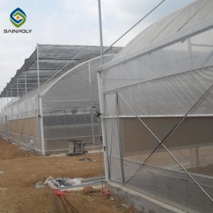 10ft Plastic Film Greenhouse With Hydroponic Growing Systems